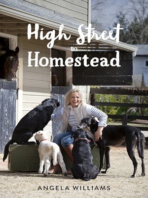 cover image of High Street to Homestead